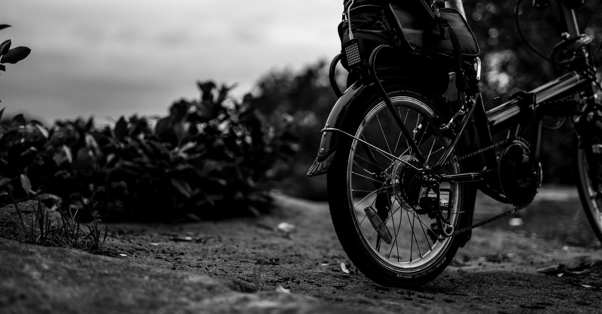 explorez pulau ubin à vélo : parcourez ses sentiers verdoyants, découvrez ses villages traditionnels et profitez d’une escapade dépaysante au cœur de la nature.