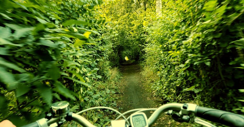 explorez pulau ubin à vélo et découvrez ses paysages naturels, ses sentiers pittoresques et le charme authentique de cette île de singapour.