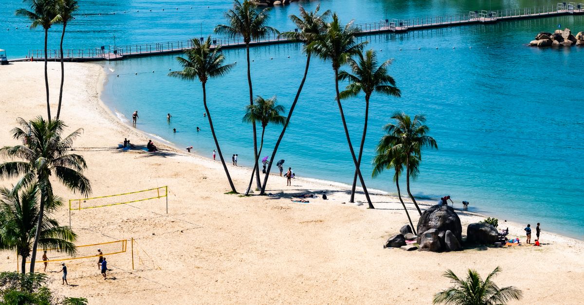Plage de Sentosa bordée de palmiers, avec son lagon