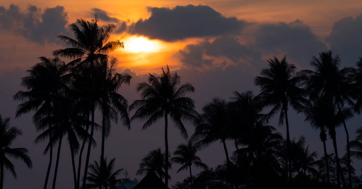 découvrez les plages de singapour, de sentosa aux criques paisibles : baignade, détente et activités au bord de l’eau vous attendent.