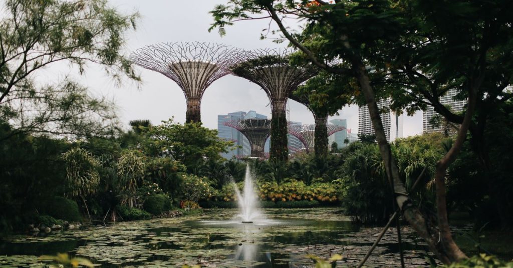 explorez les jardins botaniques de singapour, site classé à l’unesco, entre orchidées tropicales, lacs paisibles et sentiers verdoyants.