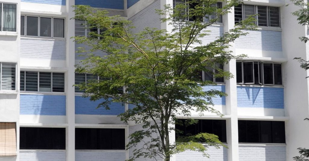 découvrez le marché du logement à singapour : types d’habitations, prix, quartiers et conseils pour trouver un logement adapté à vos besoins.