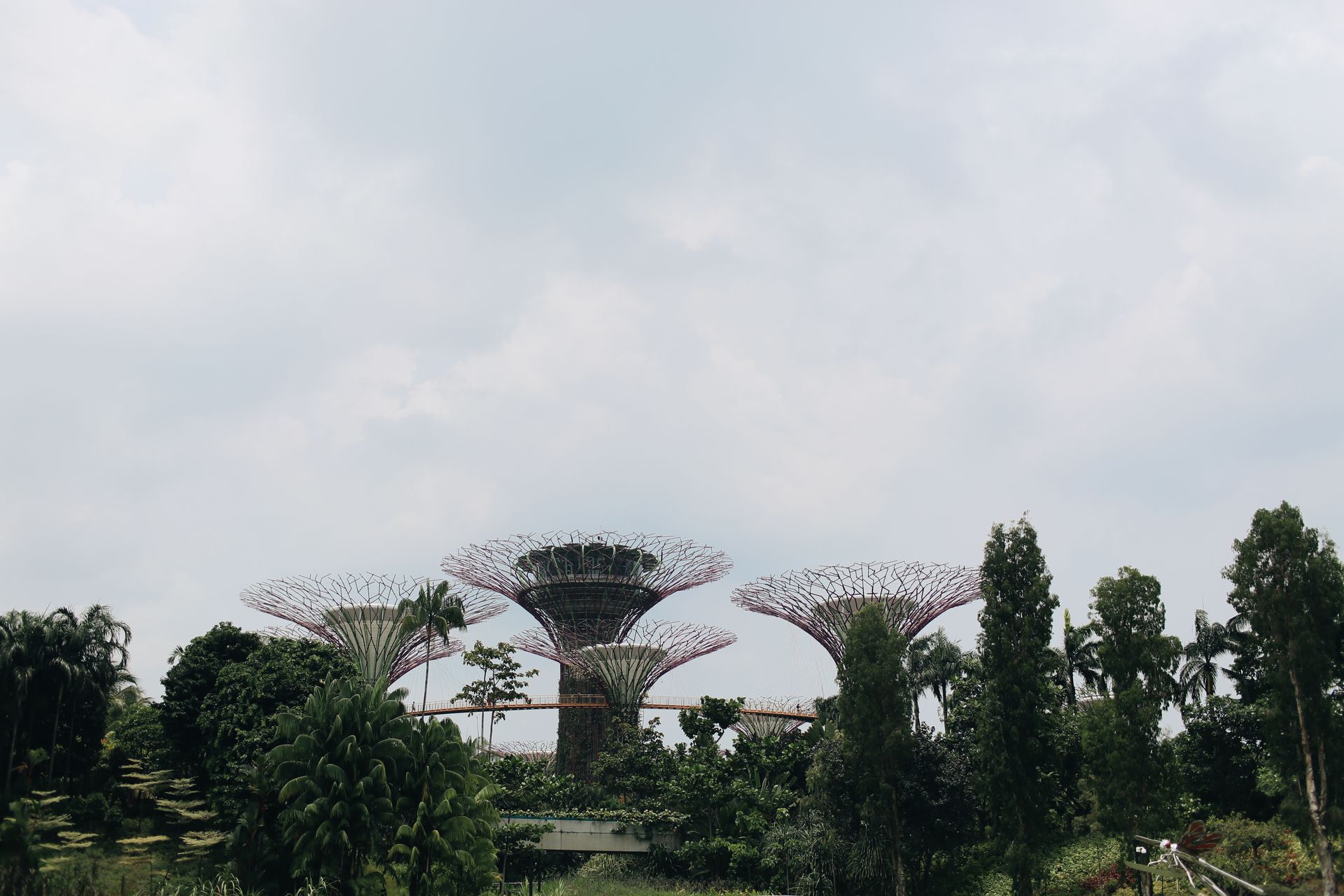Supertrees illuminés de Gardens by the Bay à Singapour